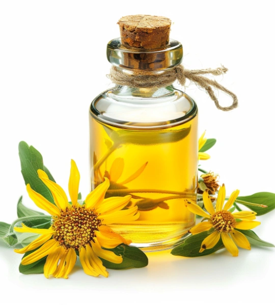 Arnica macerate