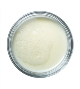 Aureobasidium Pullulans Ferment