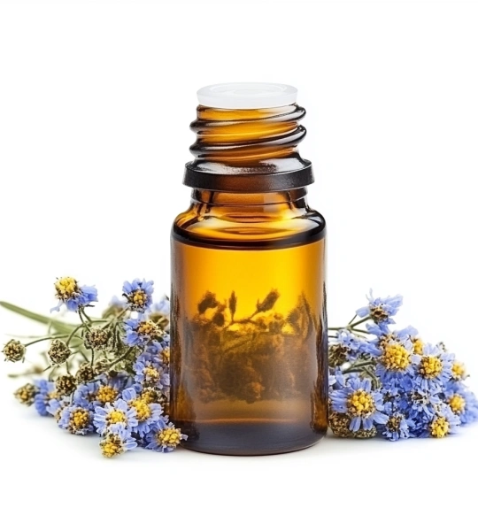 Blue Tansy Oil-5