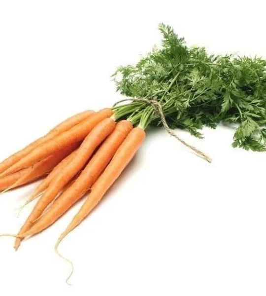 Carrot macerate