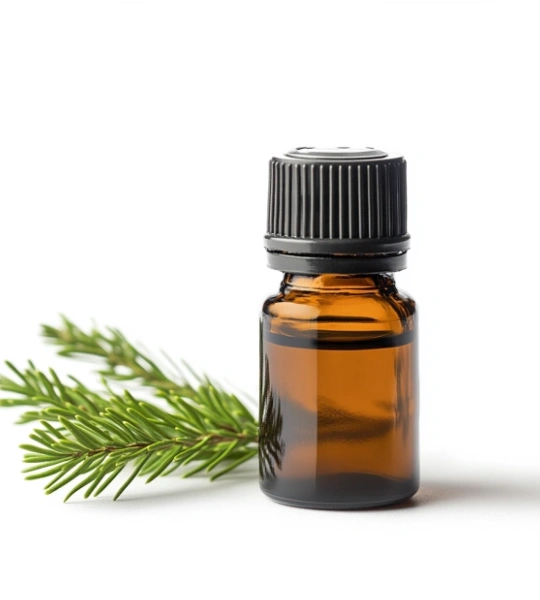 Cedar oil-6