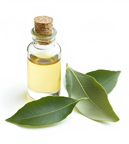 Clove oil-10