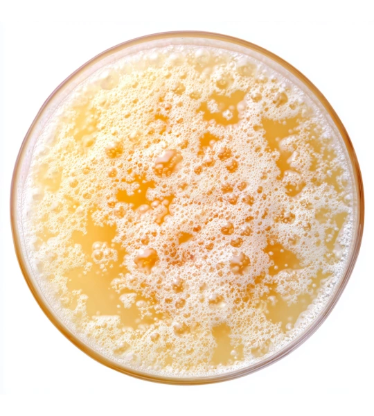 Galactomyces Ferment Filtrate