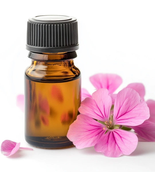 Geranium oil-15