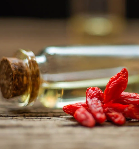 Goji berry macerate