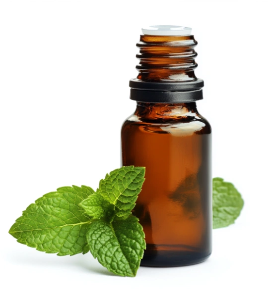 Green mint oil-17