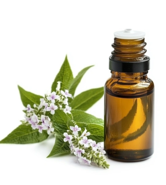 Lemon verbena oil-22