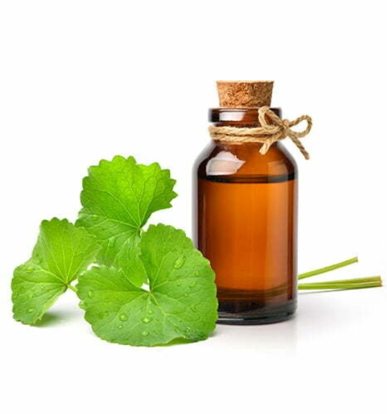 Macerate of Centella Asiatica