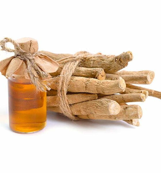 Macerate of ashwagandha