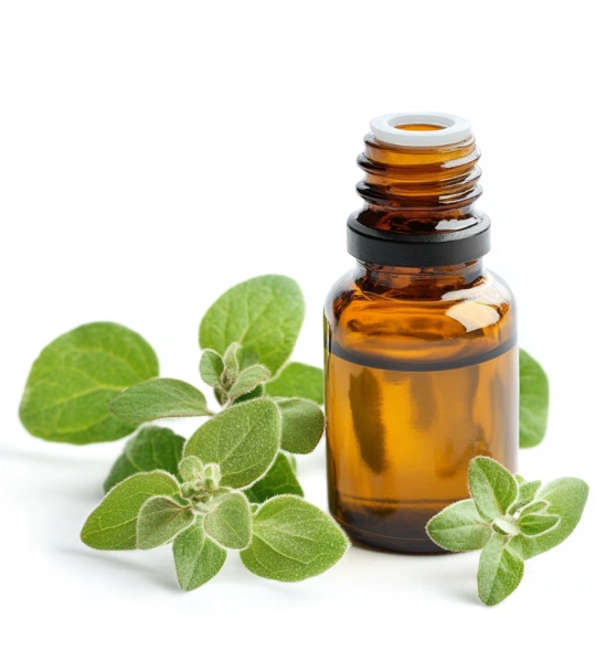 Oil of oregano-25