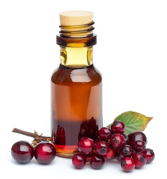 Schisandra Chinensis Macerate