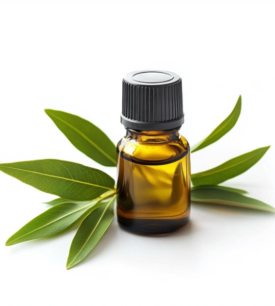Tea tree oil-31