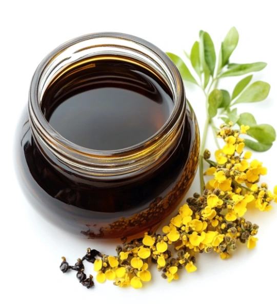 Rapeseed lecithin-32