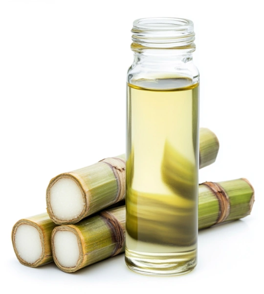 Sugarcane squalane-39