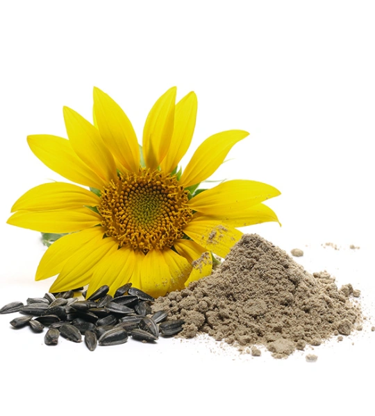 Sunflower lecithin-40