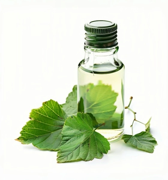 Blackcurrant leaf hydrolate