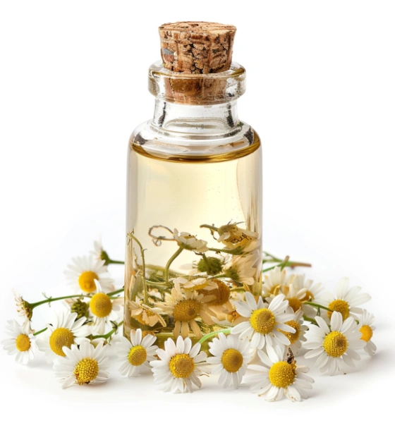 Chamomile hydrolate
