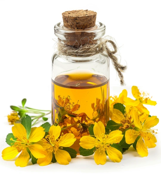 St. John’s wort hydrolate